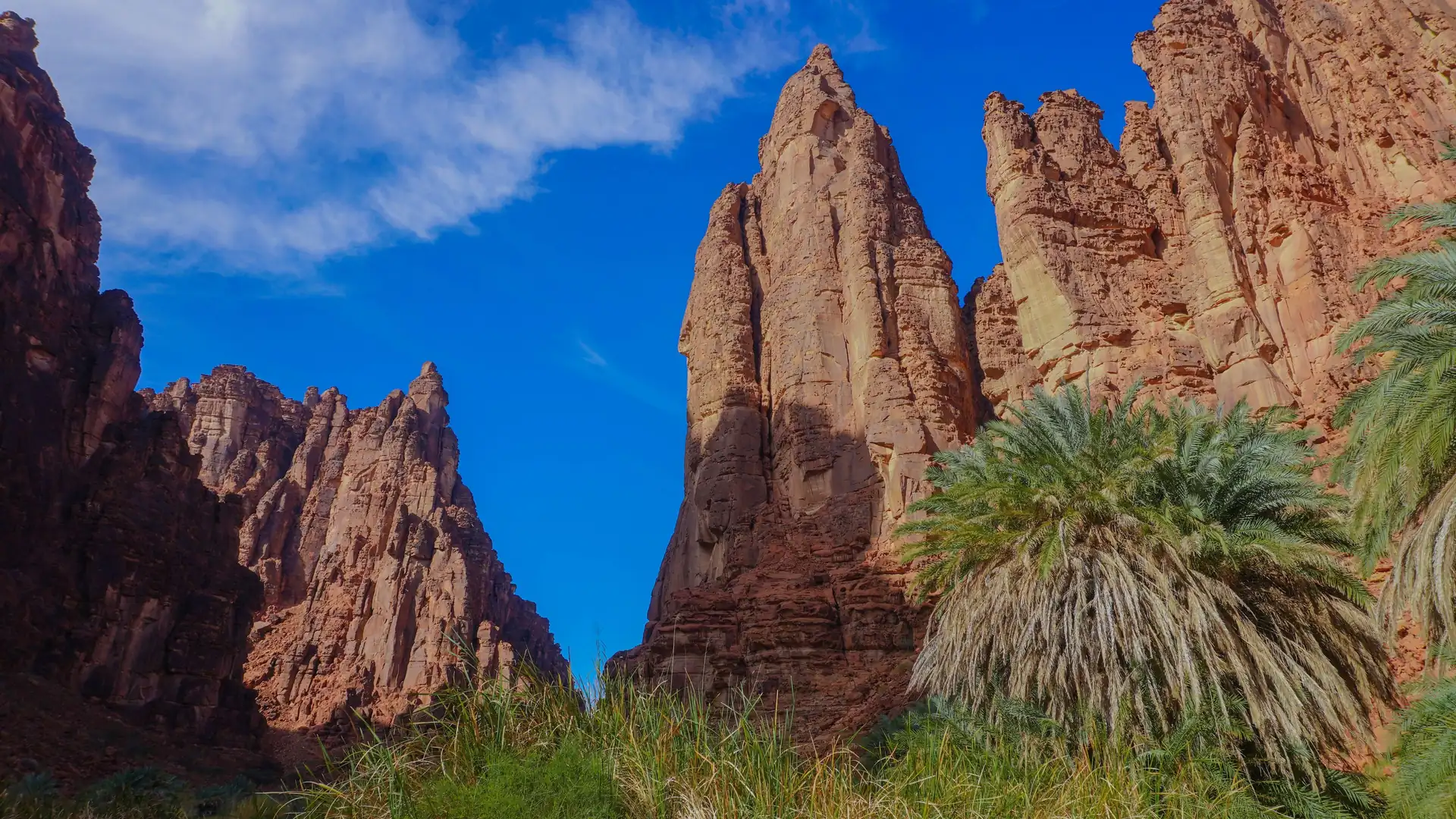 Sandstone pinnacles and date palms in the AlUla valley, Saudi Arabia