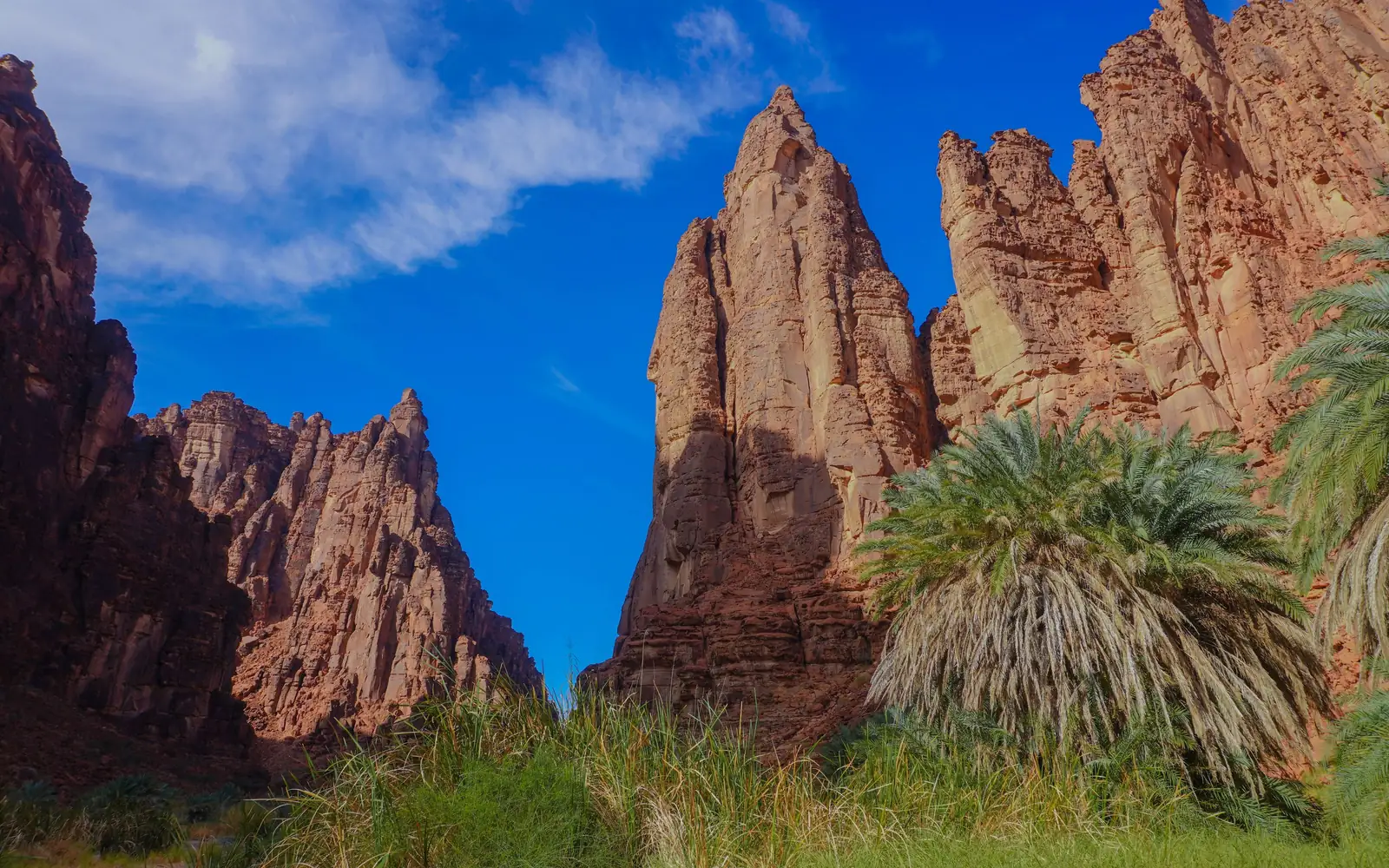 Sandstone pinnacles and date palms in the AlUla valley, Saudi Arabia